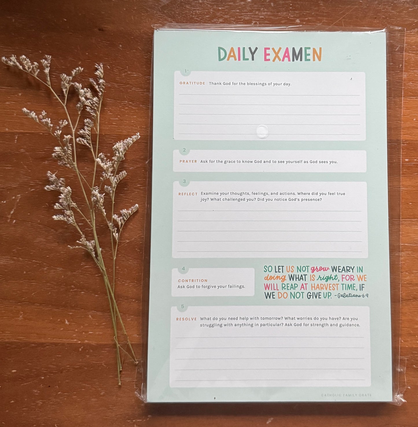 Daily Examen Notepad (Advanced)